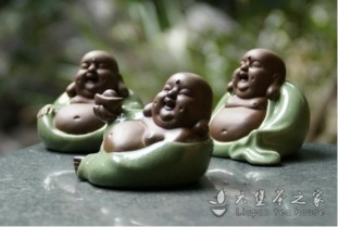 關(guān)于茶寵,茶友們都養(yǎng)過(guò)什么